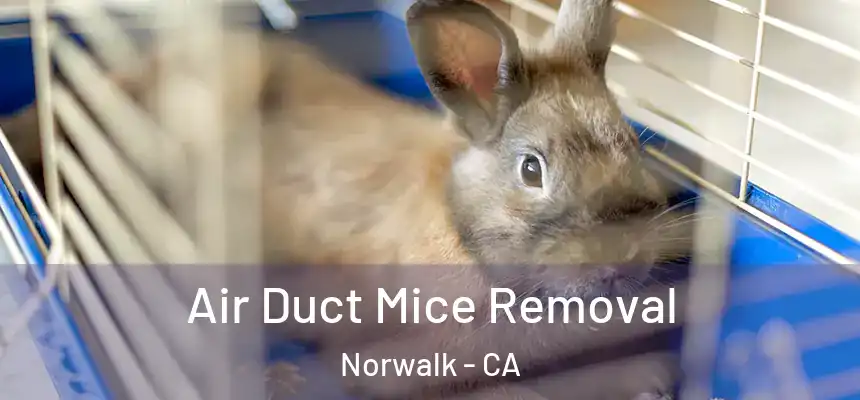 Air Duct Mice Removal Norwalk - CA
