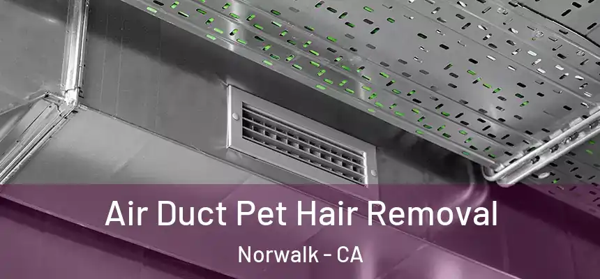  Air Duct Pet Hair Removal Norwalk - CA