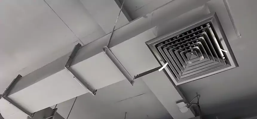 Our Pest Removal From Ducts Services in Norwalk, CA