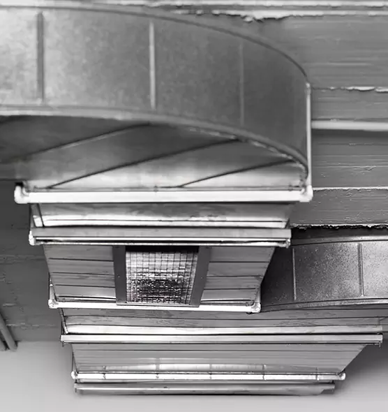 Professional Air Duct Pet Hair Removal in Norwalk, CA