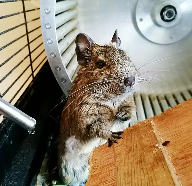 Why Homeowners & Businesses Trust Us Norwalk, CA