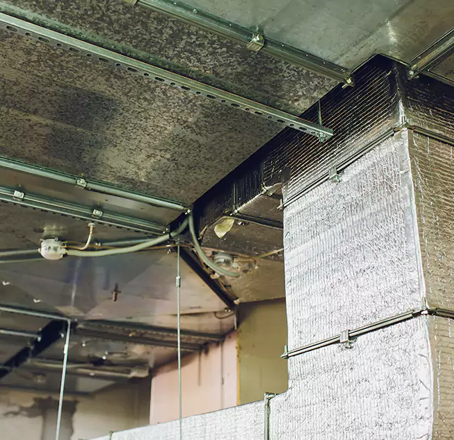 Why Homeowners & Businesses Trust Us in Norwalk, CA?